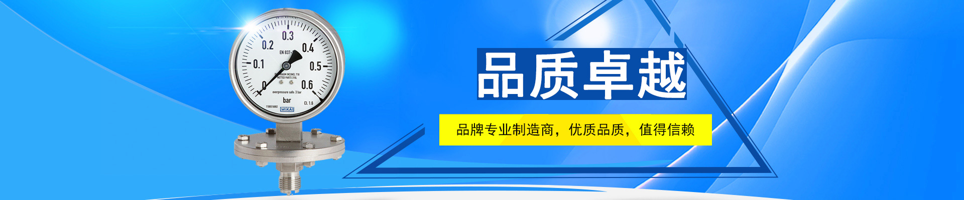 壓力表廠(chǎng)家